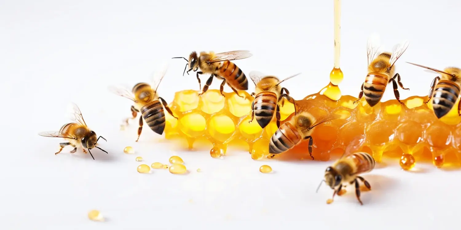 Miód wrzosowy jako suplement